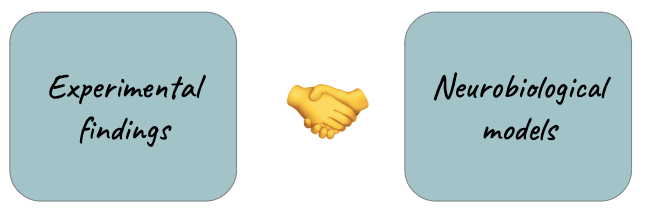 image showing experimental findings in a box, neurobiology in another box, connected with a handshake emoji