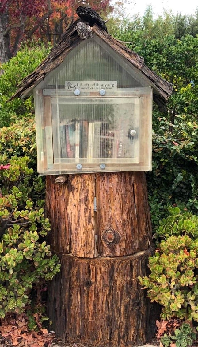 little library box full of books on tree stumps