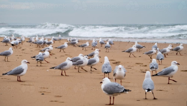 Agentic AI for Anomaly Detection — (9) Local Outlier Factor (LOF)
