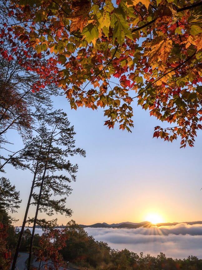 Sunrise over misty mountains, with colorful fall trees