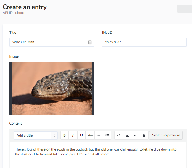 Creating a photo entry with Shingleback lizard