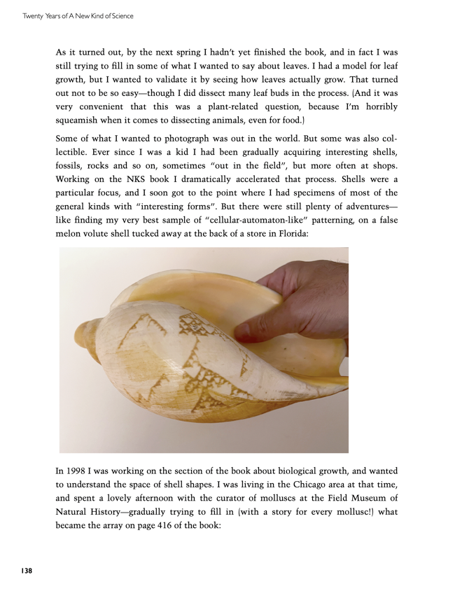 Excerpt from “Twenty Years of A New Kind of Science” with a photo of a shell