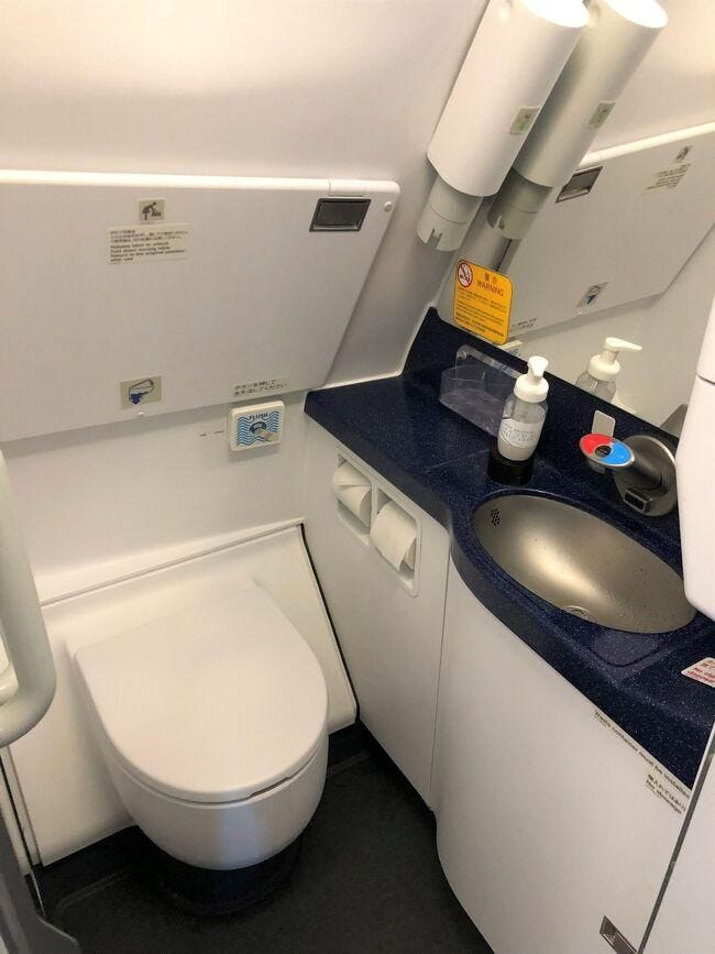 Should Airlines Have Separate Lavatories for Men and Women- The Debate