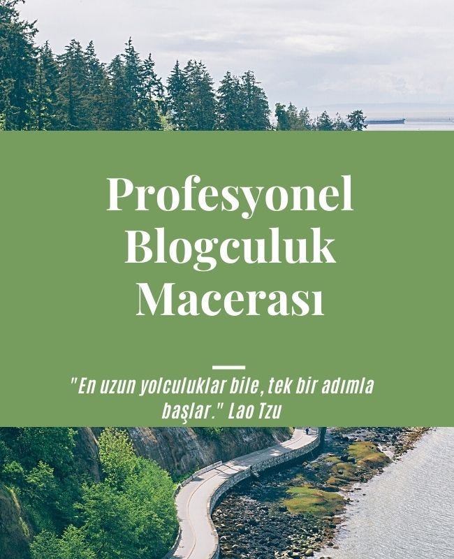 Profesyonel Blogculuk Yapmak İçin 3 Neden? (Amatör Blogculuktan Profesyonelliğe Geçiş)