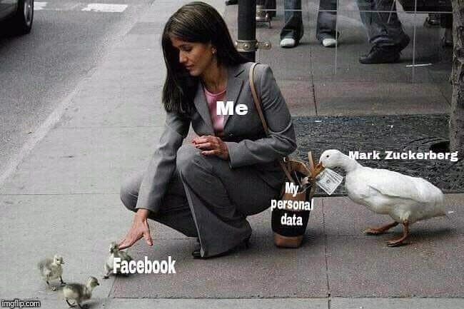 Person (Me) petting a baby goose (Facebook) while an adult goose (Mark Zuck) steals cash from her purse (My personal data)