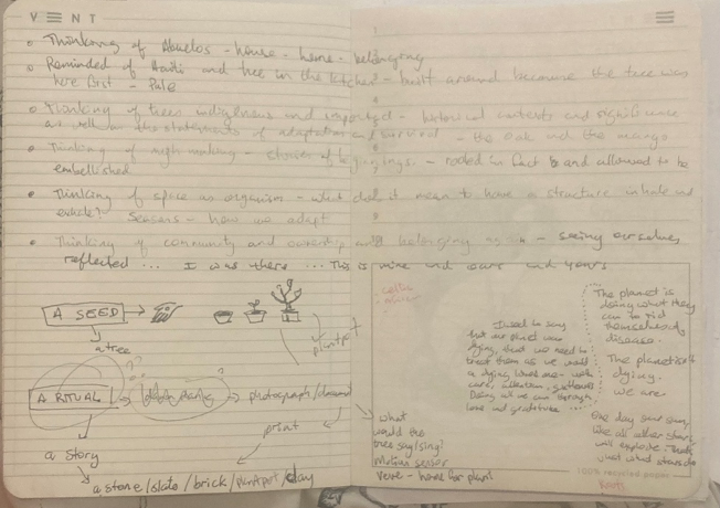 More notes from Adeola’s notebook. The bottom left hand corner shows a diagram displaying seeds to rituals to stories.