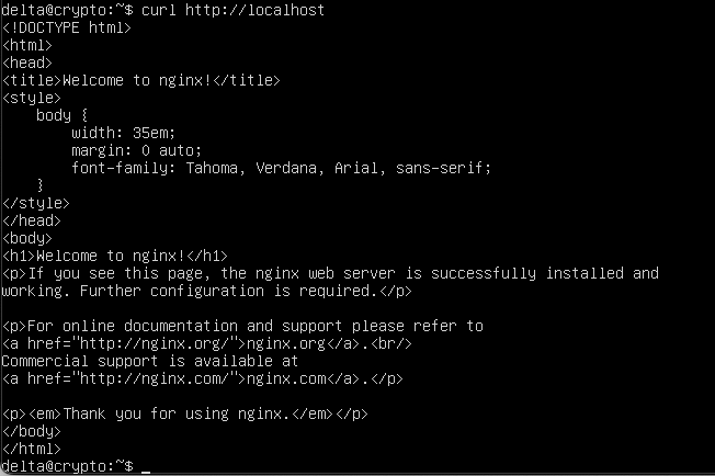 Test nginx with command curl http://localhost