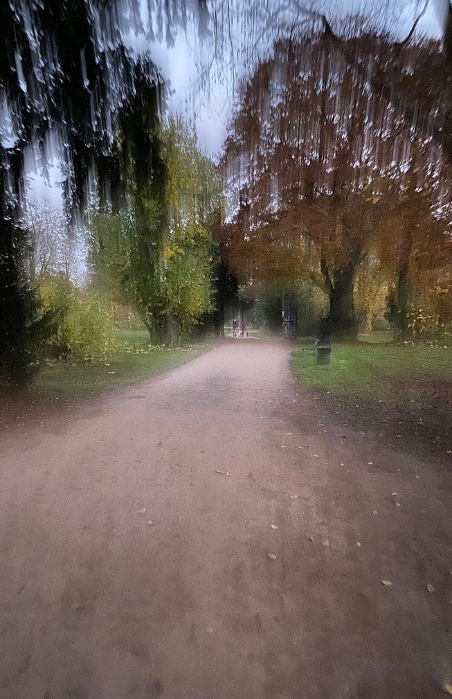 Park Mood for “Colors,” photo by Andreas Braun, the author