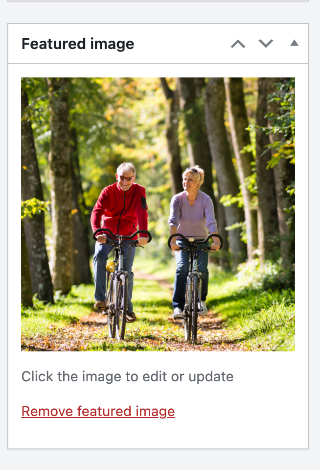 Seniors cycling in a woodsy area