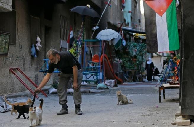 Un hombre juega con unos gatos en una calle del campo de refugiados palestinos de Yarmuk, situado al sur de Damasco, el 1 de noviembre de 2018. (Foto: Luai Beshara / AFP)