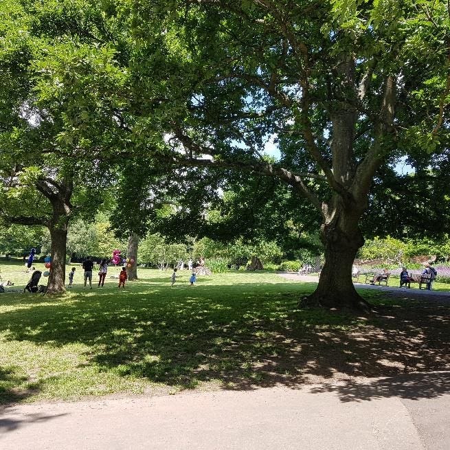 Sun and shadow in trees in a park with people