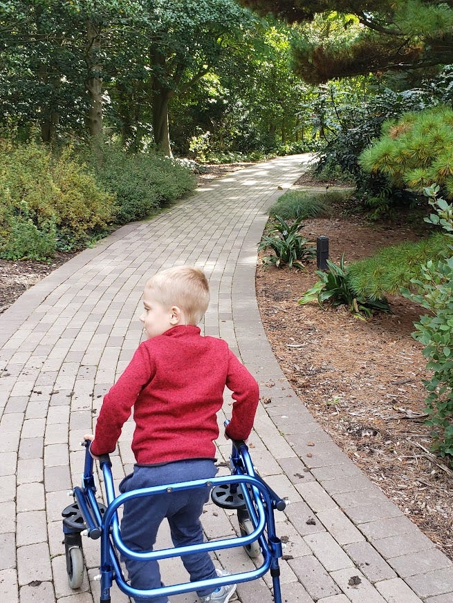 A 5 year old is in a red coat and walking in a blue walker. The trail is brick, with evergreen foliage surrounding.