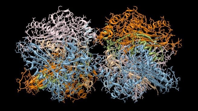 Representation of the 3D protein structure of immunoglobulin
