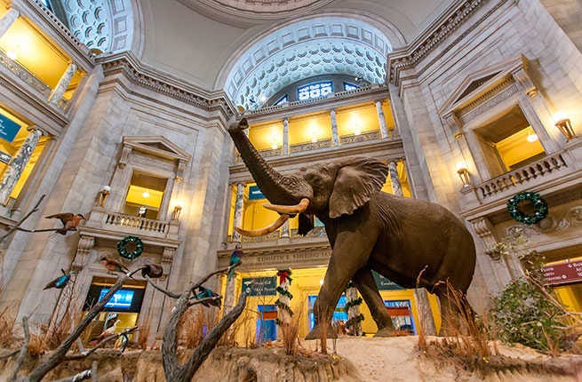 Best museums in United States