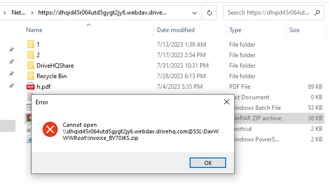 Error window showing that a zipfile cannot be opened.
