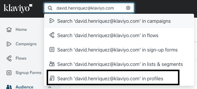 searching for a profile in Klaviyo UI