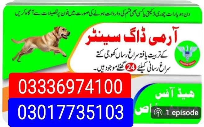 Army dog center larkana 03336974100