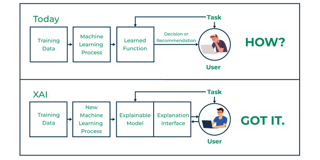 The Rise of Explainable AI: Unveiling the Black Box