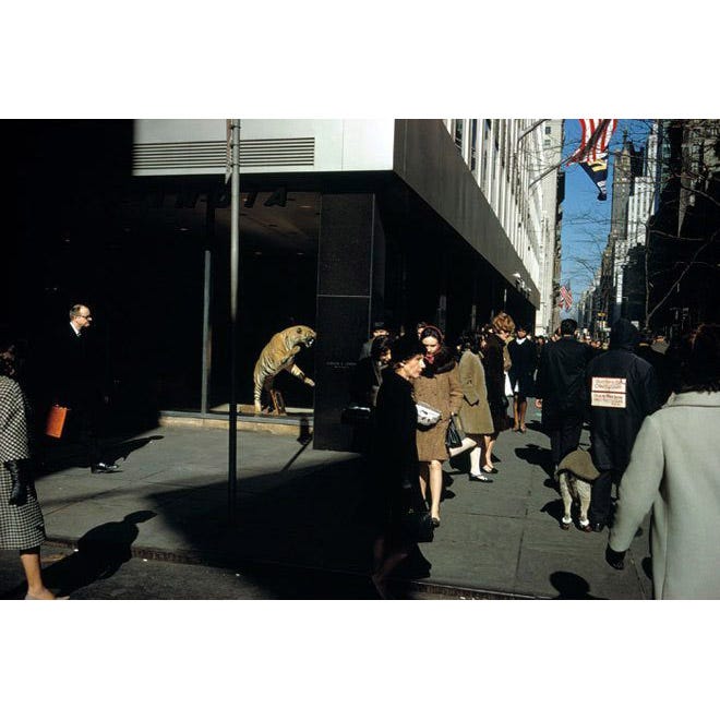 Joel Meyerowitz street phopgraphy