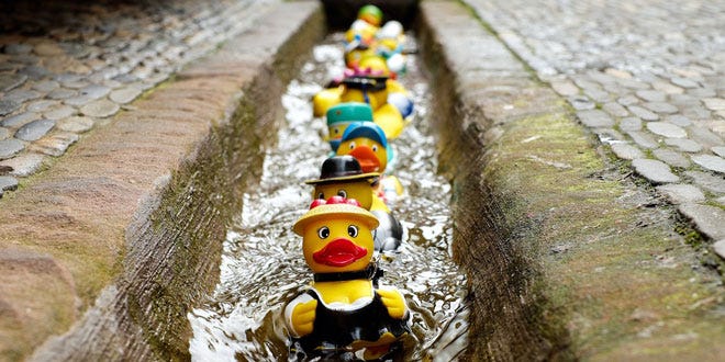 rubber ducks in a row