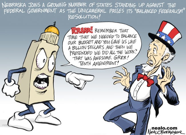 10th amendment cartoons