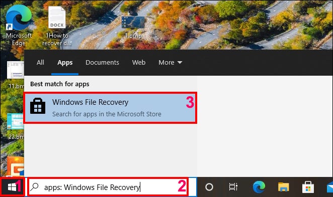 type apps: Windows File Recovery