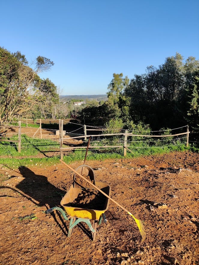 vue d’une brouette remplie de crottins sur fond de campagne portugaise