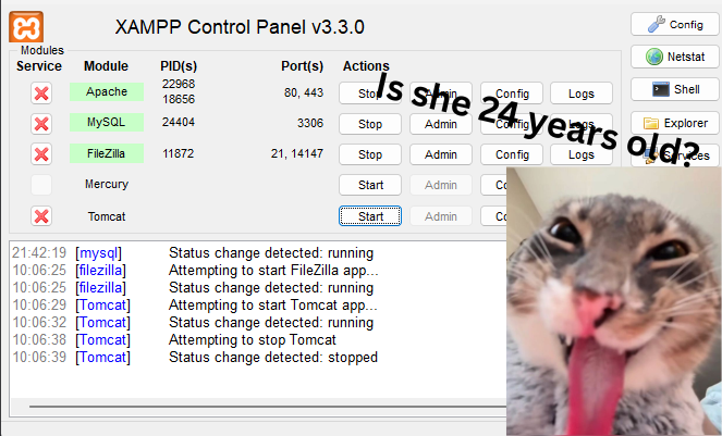 Database using XAMPP? For what?