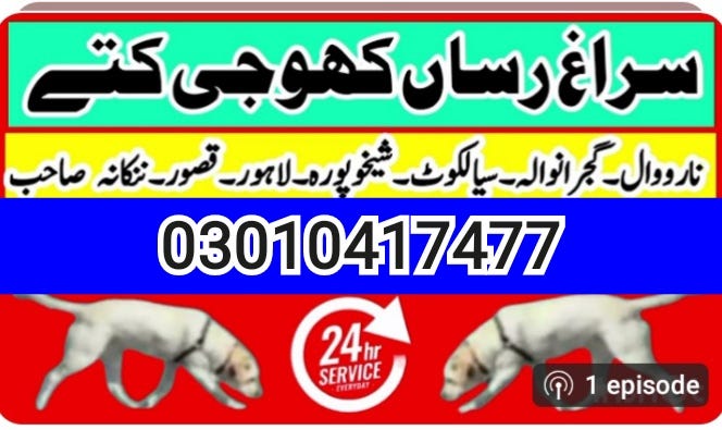 Army dog center thatta sujawal 03010417477