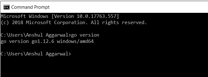 Golang version on command prompt