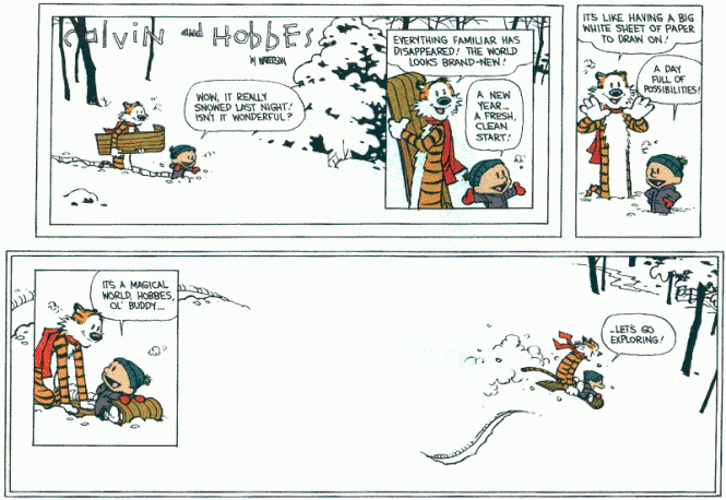 Final_CalvinHobbes