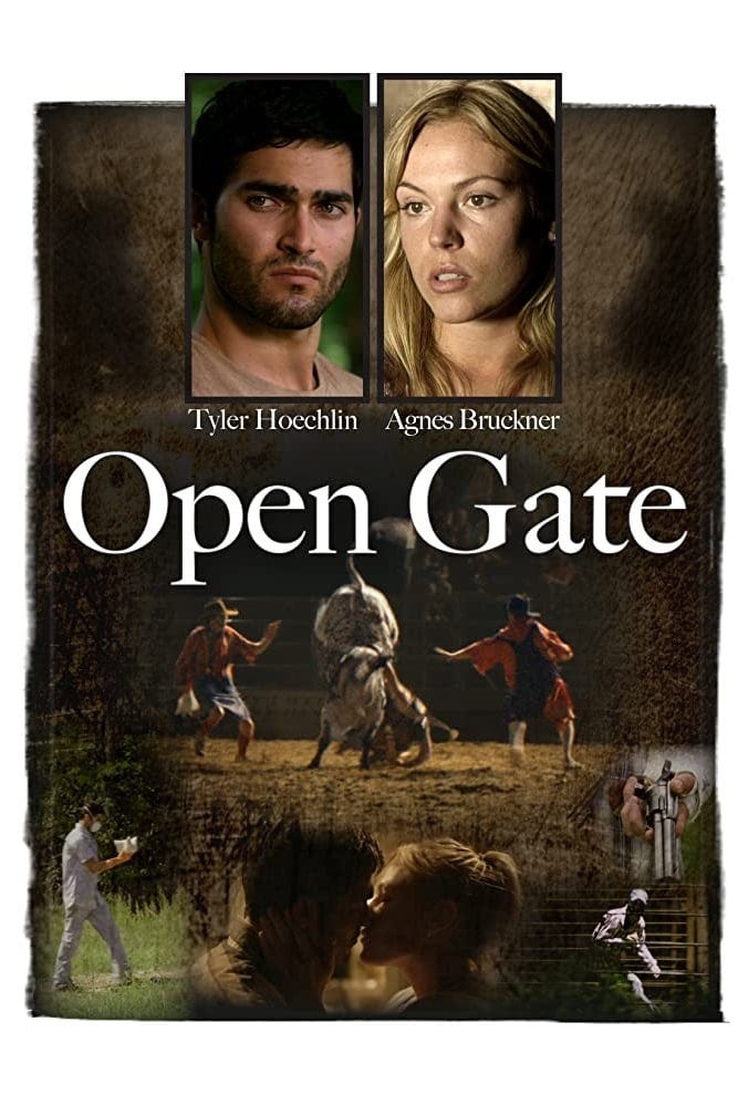 Open Gate (2011) | Poster