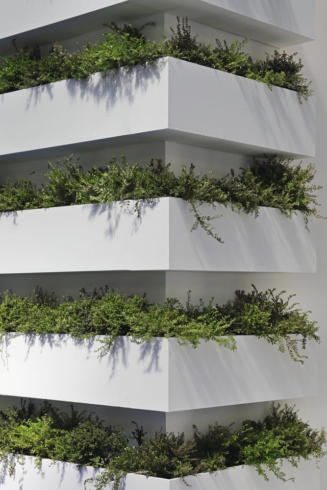 12 Creative Ways to Follow the Green Trend: Vertical Gardens