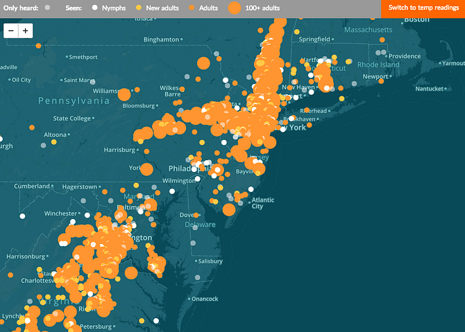 A shot from WNYC's well-known crowd-sourced Cicada Tracker project. See more here: http://project.wnyc.org/cicadas/