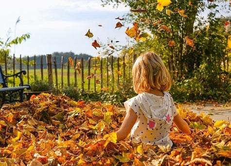 Child playing in autumn leaves