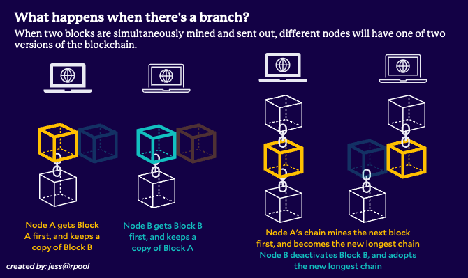What is chain reorganization? When a branch occurs, there are two versions of the blockchain. The version of the chain that mines the next block first becomes the official chain.