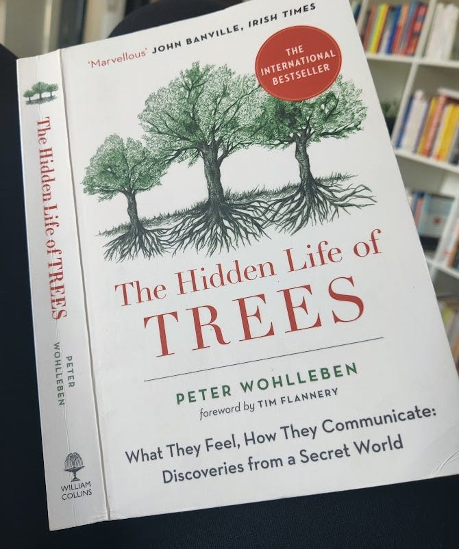 Cover page of the book : The hidden life of trees by Peter Wohlleben