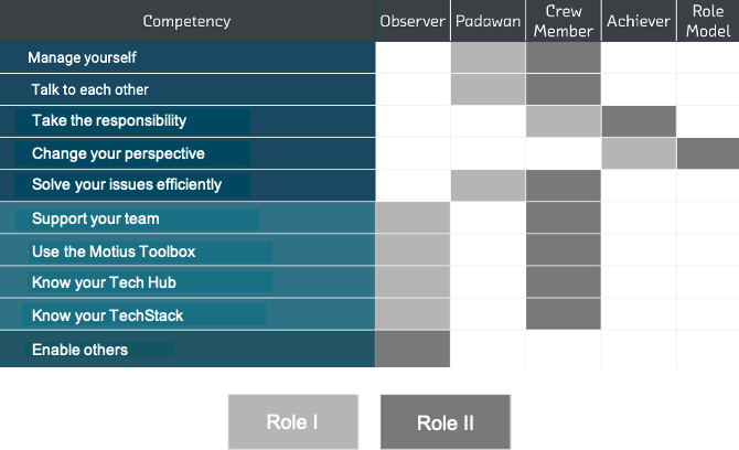 Motius Competence Profile