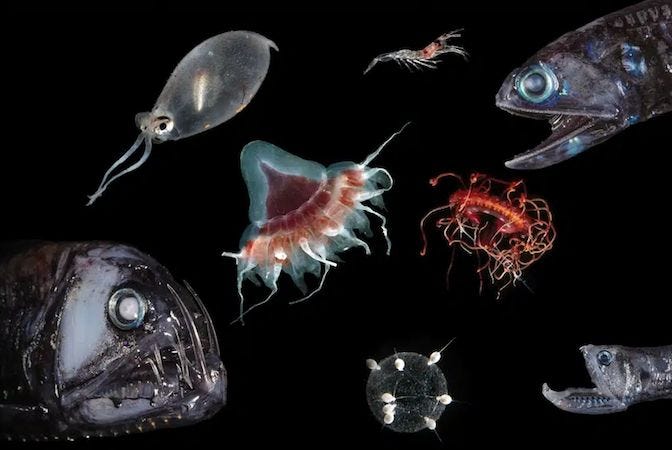 We Know More About Space Than the Bottom of Our Oceans