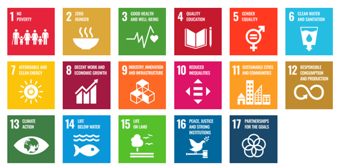 Volunteering And Sustainable Development Goals (SDGs) In Africa