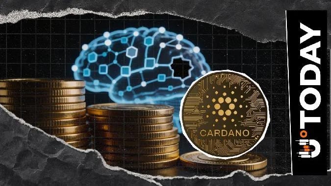 The head of the Cardano Foundation points to a lack of accountability in artificial intelligence.