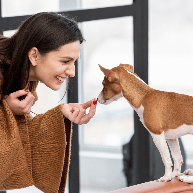 woman giving reward (treat) to a dog
