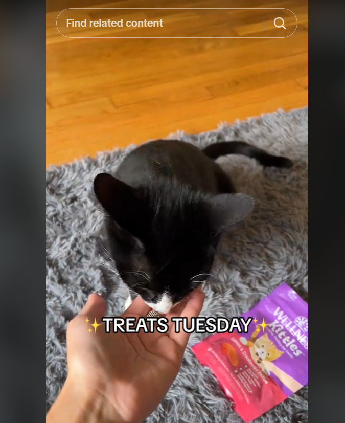 pet food video on tiktok