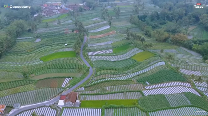 KOSMIK G2P: Inovasi Teknologi Kompos Organik Kotoran Kambing