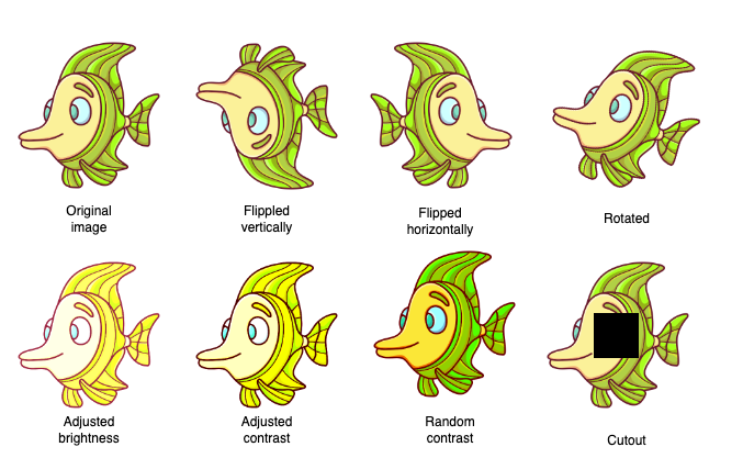 a fish is flipped, rotated, adjusted brightness, random contrast, cutout, and more