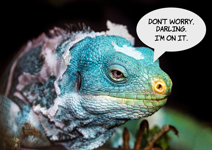 Photo of a colourful dragon lizard shedding its skin, with a speech bubble that reads, “Don’t worry, darling. I’m on it.”