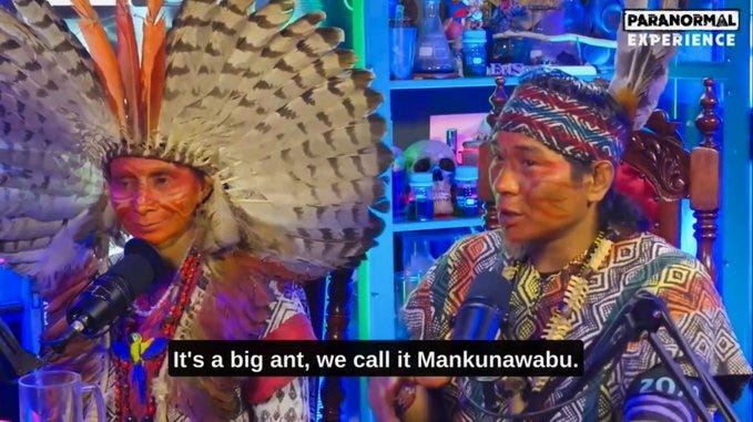 Huni Kuin Tribe Shaman Claims Aliens Live Underground