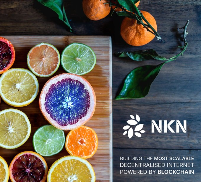 Juicy fruit of NKN, by Tom