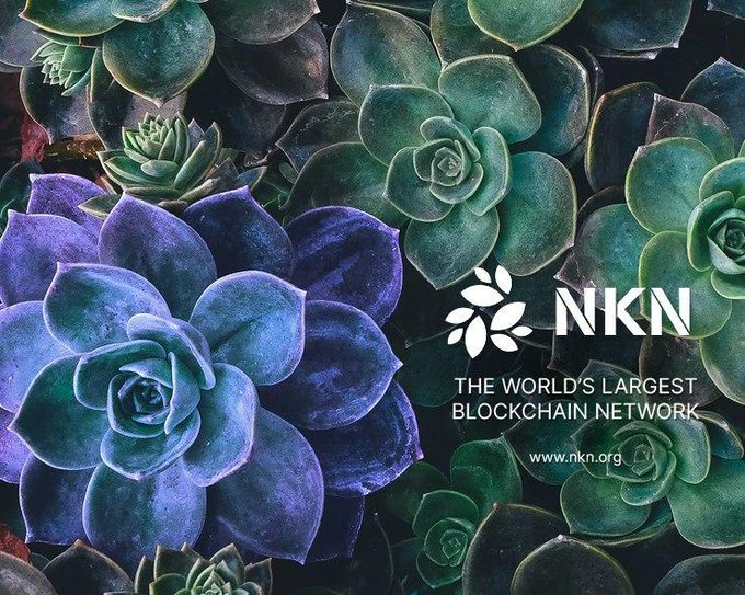 NKN building largest Blockchain Network (by Tom)