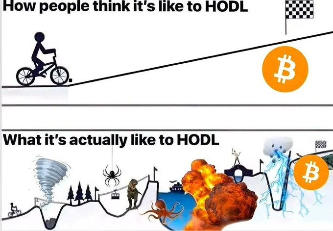 ️ DeFi Yields Survive 10% Crash: $8.73 Daily from Beefy Vaults Amid BTC Bloodbath